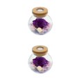 thumbnail image 2 of Ounissouiy Eternal Lantern - Forever Bright Colors Tratamiento de agua dulce Luminous Eternal Flower purple púrpura 2piezas, 2 of 6