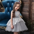 thumbnail image 5 of Toddler Girls Dress Formal Kids Spring Summer Tulle Cotton Sleeveless Princess Dresses For Girls Fancy Dress Grey 2-3 Years, 5 of 5
