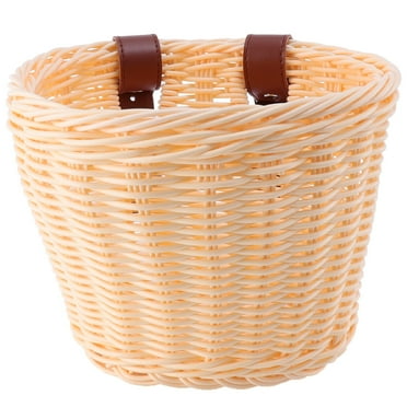 frozen bicycle basket