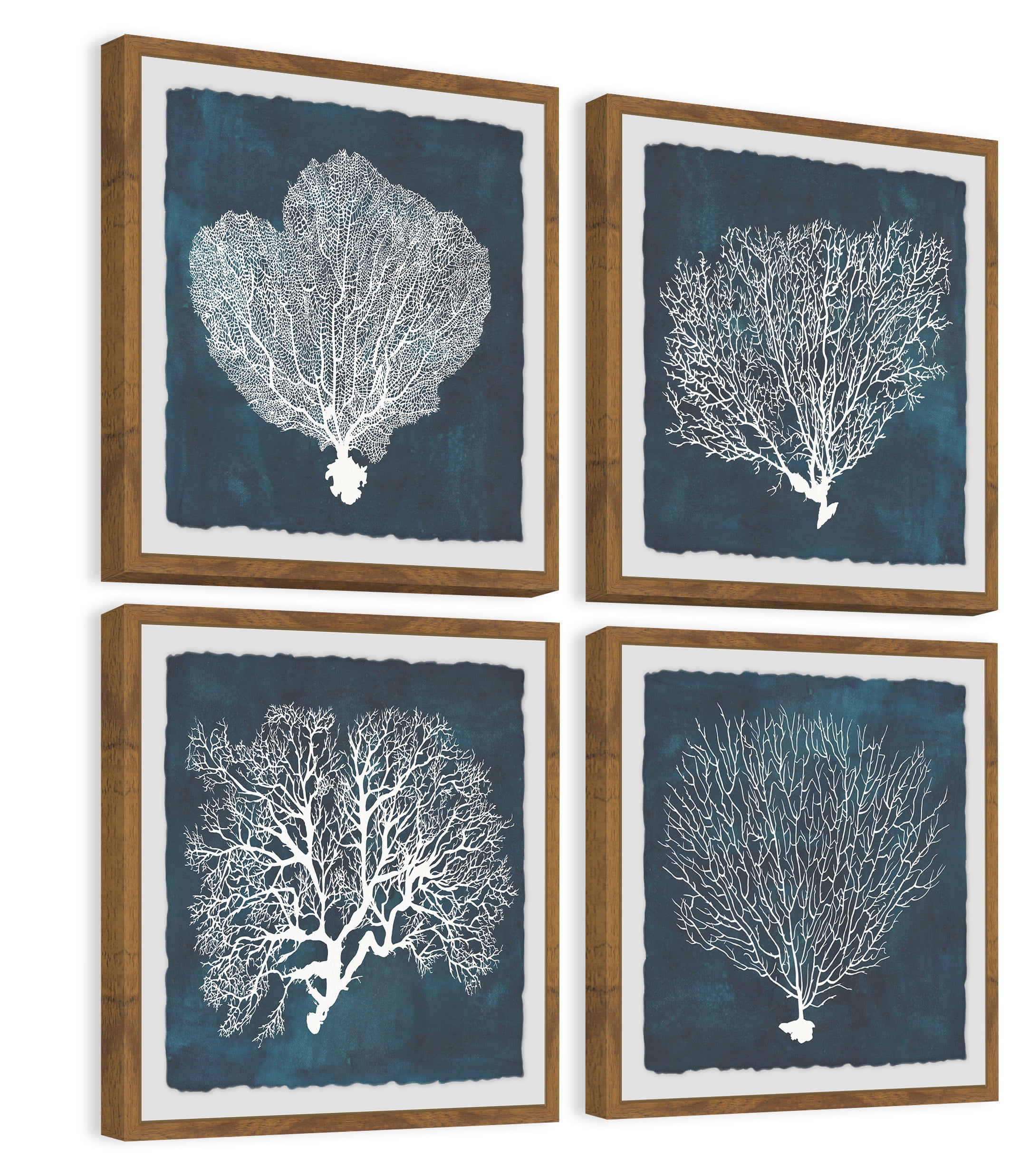 Marmont Hill Inverse Sea Fan V Quadriptych, 24" x 24"