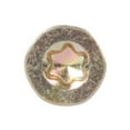 thumbnail image 4 of Fixman - Goldstar Advanced Screws - 4 x 40mm 200pk, 4 of 4