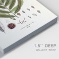 thumbnail image 3 of Botanical Society Ferns II Premium Gallery Wrapped Canvas - Ready to Hang, 3 of 9