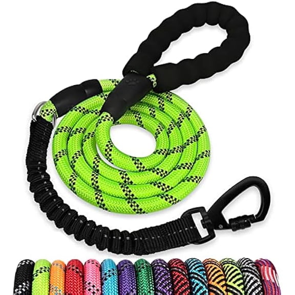 Eryueer Rope Dog Leash 5 FT: Heavy Duty Leashes with Swivel Lockable Hook Reflective Threads Bungee and Padded Handle - Dog Lead for Large Small Medium Dogs Outside Walking Hiking Green