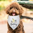 thumbnail image 5 of C struff Birthday Dog Bandana Scarf for Party Supplies - Triangle Shape Happy Dog 5th Birthday Accessories, 5 of 6