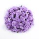 thumbnail image 3 of 5/10/20 piezas de minicabezales de flores de hortensia artificiales para manualidades, claveles, fiestas, hogar, habitación, boda, Navidad, decoración de coronas DIY, 3 of 5