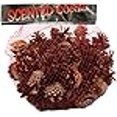 thumbnail image 3 of Cinnamon Scented Pinecones 1lb-Small, 3 of 3