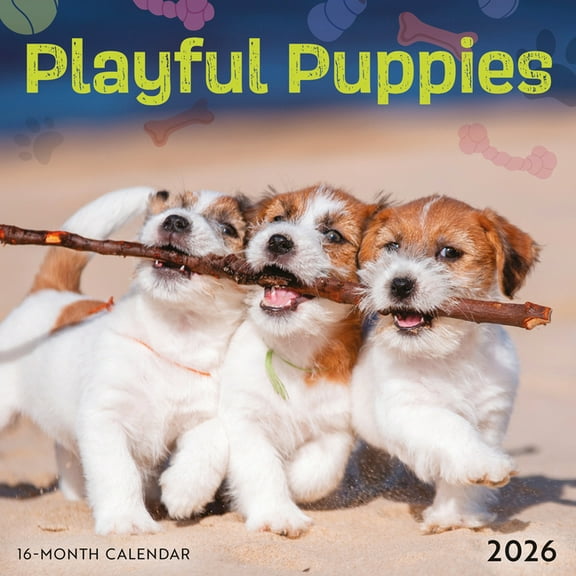Playful Puppies: 7x7 Mini, (Paperback)