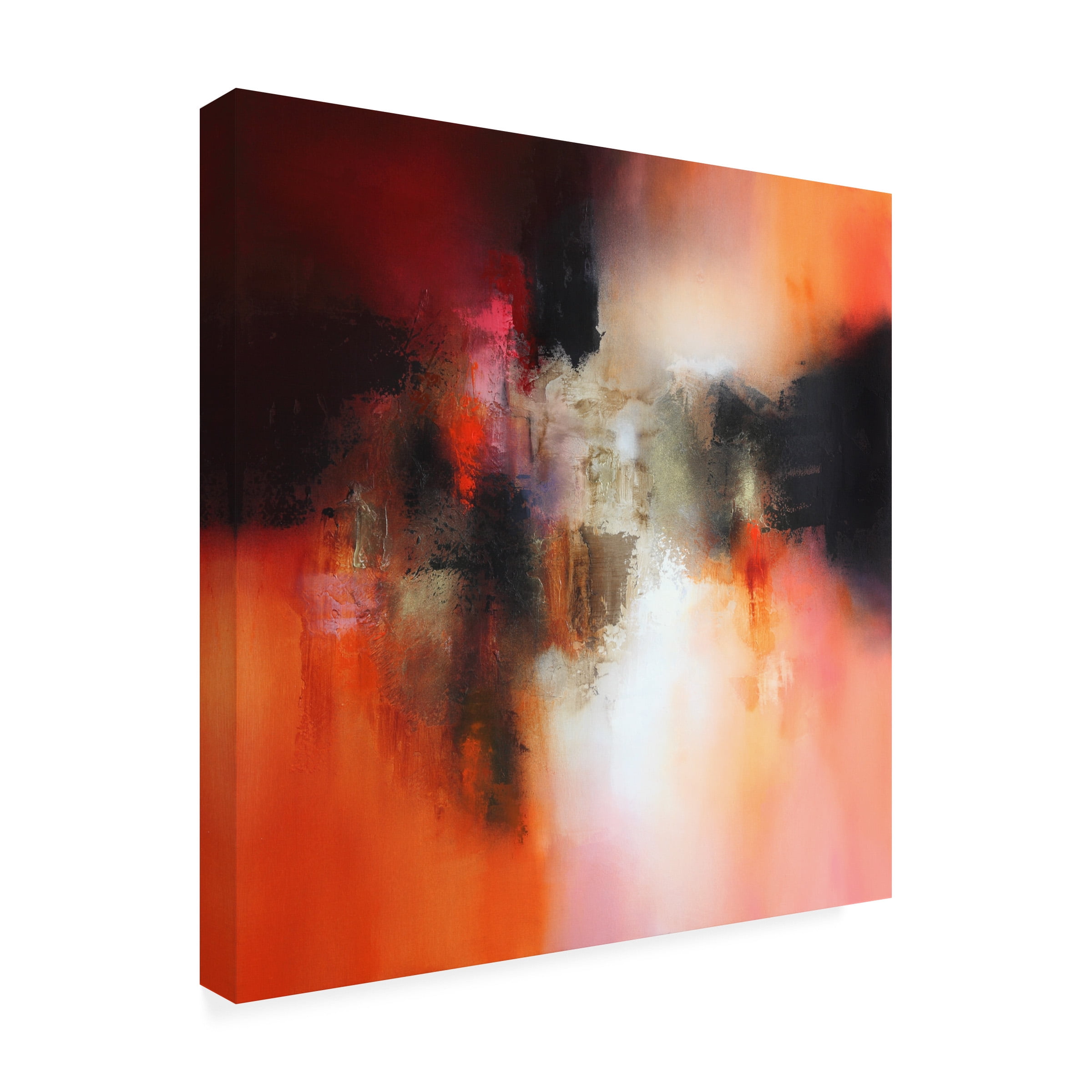 Eelco Maan 'Endless' Canvas Art