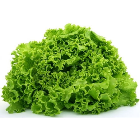 Fresh Green Leaf Lettuce, Each