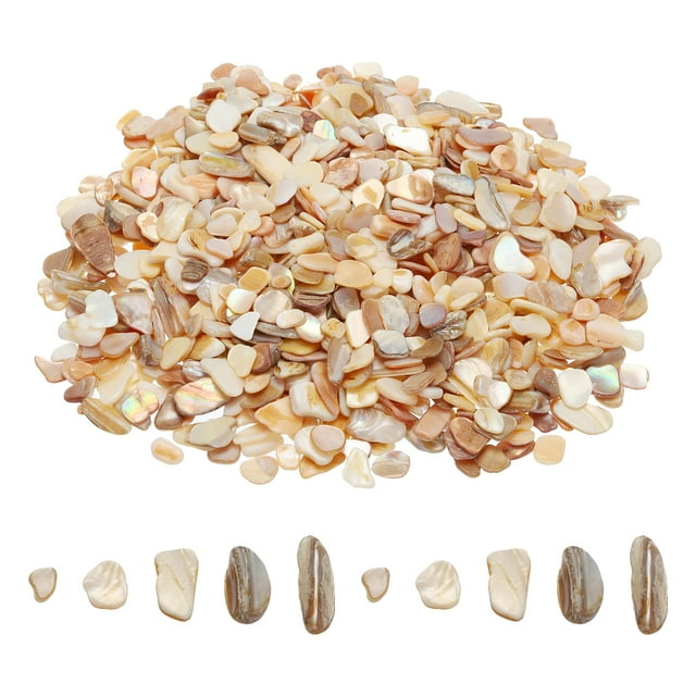 Uxcell 500g conchas trituradas irregulares fragmentos de conchas marinas mosaico natural para proyectos de arte y manualidades Beige