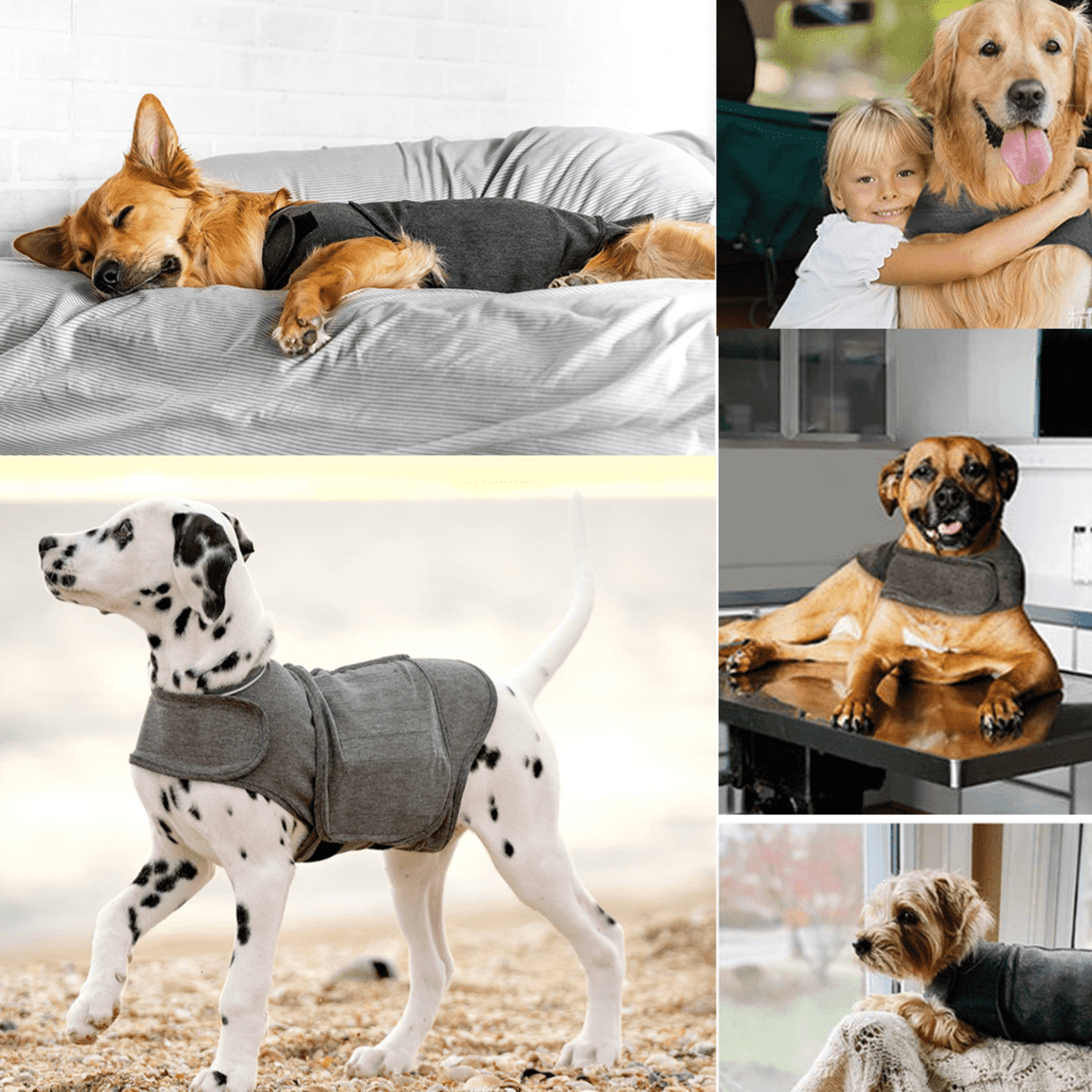 Forievic Dog Anxiety Jacket | Vet Recommended Calming Solution Vest for Fireworks, Thunder, Travel, & Separation, XXS
