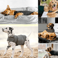 thumbnail image 3 of Forievic Dog Anxiety Jacket | Vet Recommended Calming Solution Vest for Fireworks, Thunder, Travel, & Separation, XXL, 3 of 5