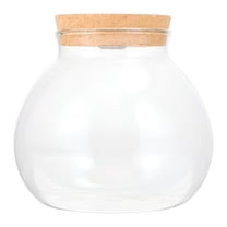 ACDANC Glass Terrarium Container with Light 14X13X13Cm