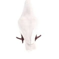 thumbnail image 3 of de Modelo Animal de de piezaza de piezal de Polietileno, 3 of 9