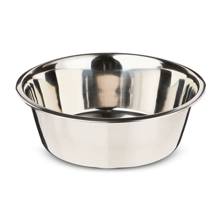 Vibrant Life Extra Large 38-Cup Stainless Steel Pet Bowl, Silver