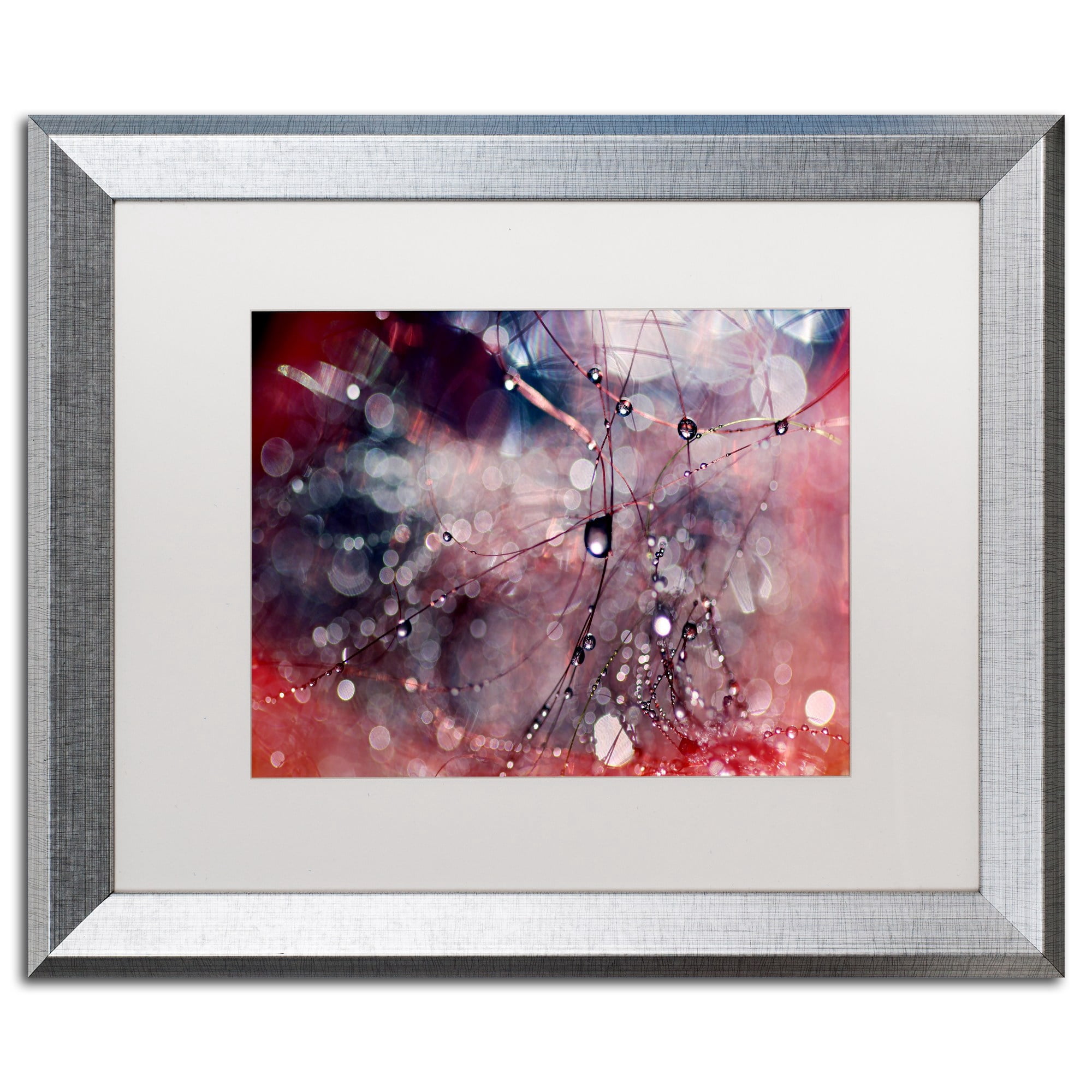Trademark Fine Art "Outside the Box" Canvas Art by Beata Czyzowska Young, White Matte, Silver Frame
