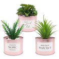 thumbnail image 1 of Plantas suculentas artificiales: miniplantas suculentas artificiales mejoradas en macetas para la decoración de escritorios de la oficina en casa, pequeñas suculentas artificiales variadas en macetas, 1 of 5