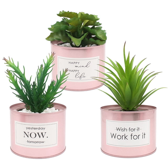 Plantas suculentas artificiales: miniplantas suculentas artificiales mejoradas en macetas para la decoración de escritorios de la oficina en casa, pequeñas suculentas artificiales variadas en macetas