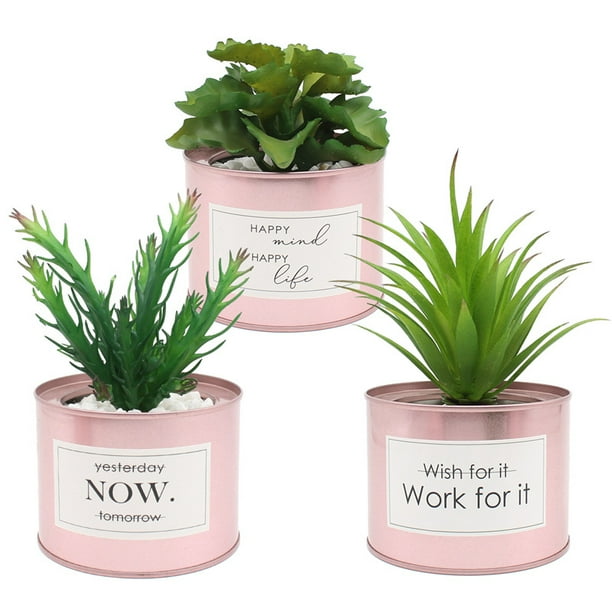 Plantas suculentas artificiales: miniplantas suculentas artificiales mejoradas en macetas para la decoración de escritorios de la oficina en casa, pequeñas suculentas artificiales variadas en macetas