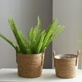 thumbnail image 5 of Hotiary 13.7" x 13.7" x 11.8" Seagrass Rattan Wicker Basket Planter, 5 of 8