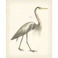 thumbnail image 2 of Wild Apple Portfolio 15x18 White Modern Wood Framed Museum Art Print Titled - Vintage Heron I, 2 of 4