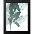 thumbnail image 2 of Vision Studio 19x24 Black Modern Framed Museum Art Print Titled - Seaside Seaweed I, 2 of 5
