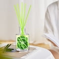 thumbnail image 6 of SCENTORINI Citronella Reed Diffuser for Home, 6.8 fl oz Lemongrass Oil Diffuser with Sticks, Natural Aromatherapy Air Freshener for Patio Camping Outdoor/Indoor Use, 6 of 9