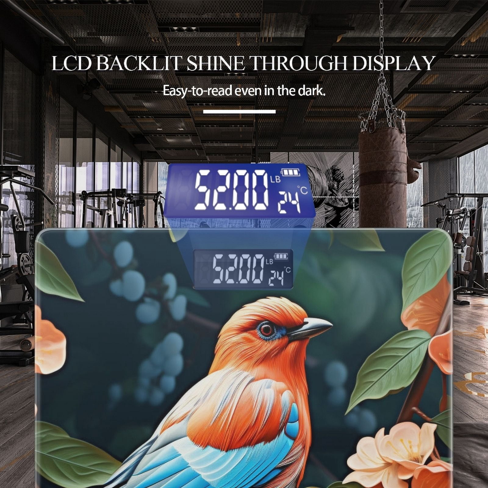 Bathroom Scale, Highly Accurate Digital Body Scale,Precisely Measures Weight up to 400 lbs-Colorful Bird Perched On Vibrant Flowers