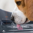 thumbnail image 3 of 7L/1.8Gal Dog Water Fountain for Large Dog, FEELNEEDY Dog Water Bowl Dispenser Pet Water Fountain, Water Dispenser for Dogs with Ultra Quiet Pump for Multiple Pets with 3 Filters, 3 of 6