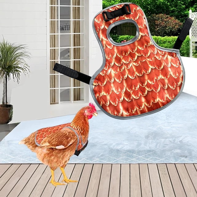 Sillín de pollo, delantal, impermeable, protector de espalda, sillín de apareamiento, protector de aves de corral, arnés para pollos, chaleco para Naranja