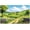 Clover, variant on Rainforest 2026 Backdrop Emerald Waterfall Summer Forest Mountain River Vacation Religious Bible Background Baptism Party Decoration Banner Photo Booth Props