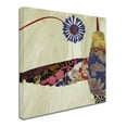 thumbnail image 3 of Trademark Fine Art "Hummingbird Brocade I" Canvas Art by Color Bakery, 3 of 4