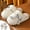 White, variant on AURIGATE Close Toe Fuzzy Fluffy House Slippers for Women Cozy Memory Foam Plush Criss Cross Furry Slides Slippers
