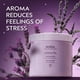 thumbnail image 2 of Sales de baño Aveda Stress-Fix, 473 ml, con lavanda, 2 of 6