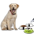 thumbnail image 3 of Utensilios de comida para mascotas cuenco para perros de acero inoxidable cuenco antideslizante para mascotas patrón de dibujos animados 26cm MFZFUKR CPB-DE-SSW2358-5, 3 of 5