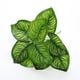 thumbnail image 2 of Flor artificial Planta verde Planta en maceta Decoración de pared Simulación de plantas Hojas Fondo Pared Arreglo floral Materiales a juego Verde, 2 of 6