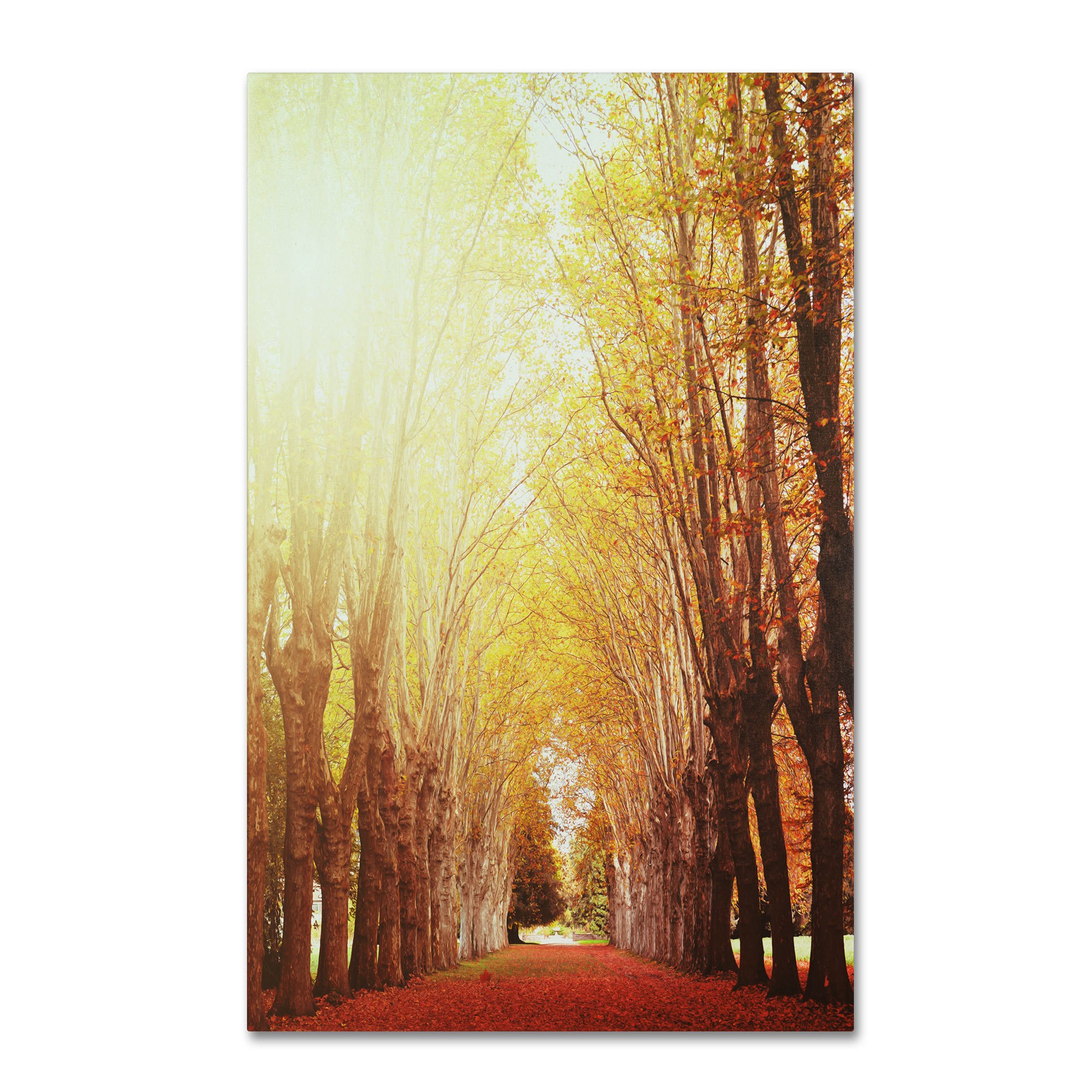 Trademark Fine Art "Fountains of Light" Canvas Art by Philippe Sainte-Laudy