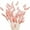 Pink, variant on Tutuviw Orange Bunny Tails Dried Flowers, 16inch Natural Dried Grass, Bunny Tails Dried Flowers for Wedding, Home, Rustic Party, Baby Shower, Christmas Decorations (60 Pcs)