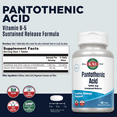 thumbnail image 2 of KAL Pantothenic Acid Sustained Release 1000mg | For Energy Storage & Release | Supports Metabolism of Carbs, Fats & Proteins | Vegetarian | 100ct, 2 of 6