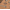 Sahara, variant on Men's Sperry Top-Sider Leeward 2-Eye