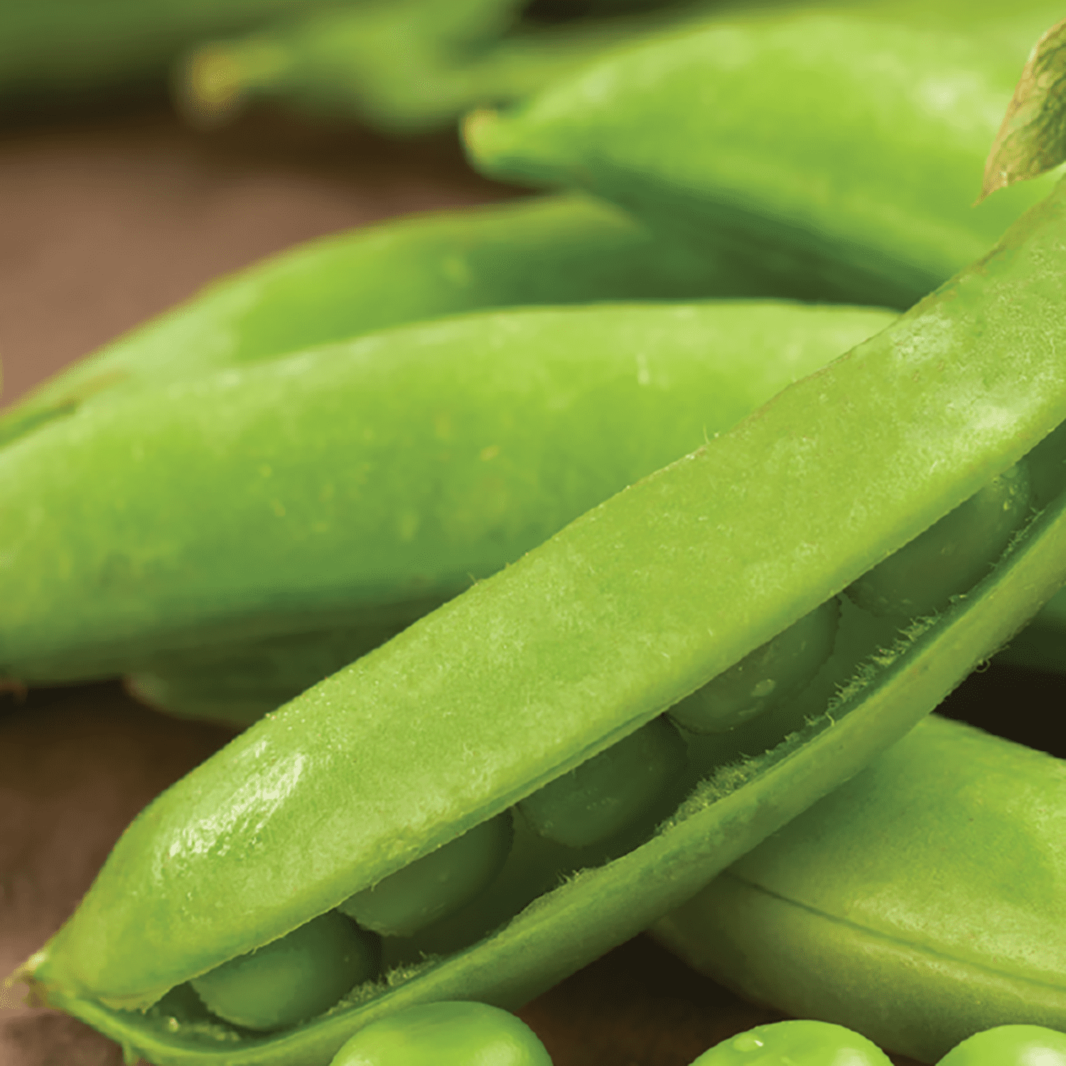 American Seed Pea Sugar Daddy Seeds, Annual Vegetables Full Sun