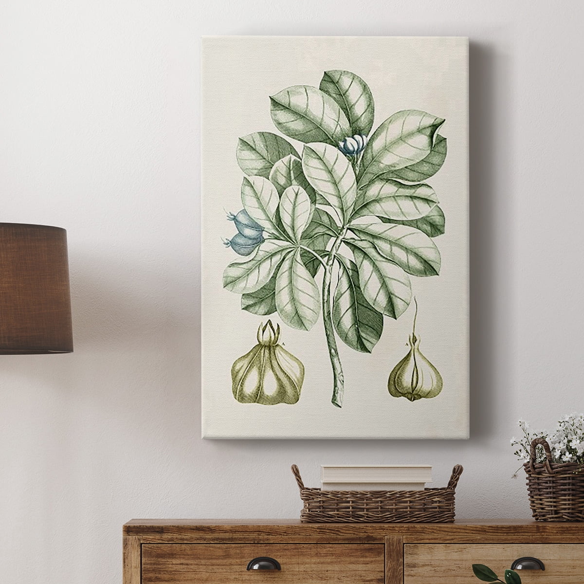 Buchoz Tropicals IX Premium Gallery Wrapped Canvas - Ready to Hang