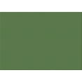 thumbnail image 1 of Ahgly Company Indoor Rectangle Patterned Green Pepper Green Area Rugs, 2' x 3', 1 of 6