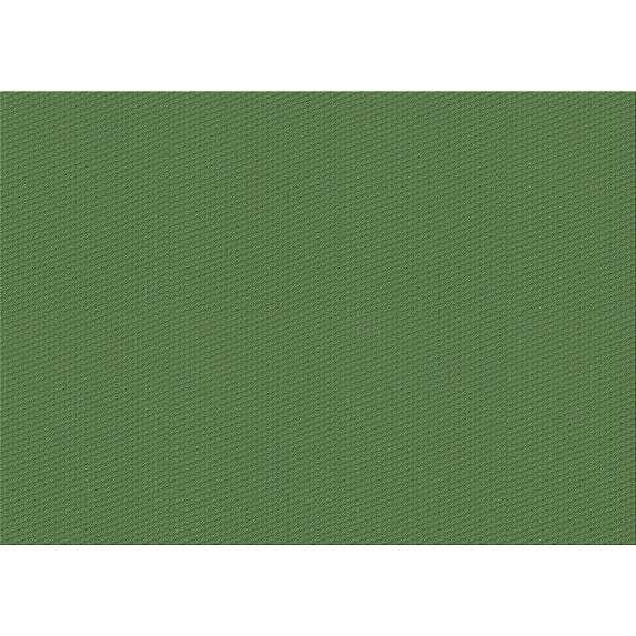 Ahgly Company Indoor Rectangle Patterned Green Pepper Green Area Rugs, 2' x 3'