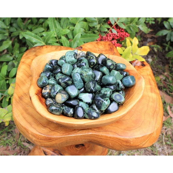 1/4 lb Bulk Lot Kambaba Jasper Tumbled Stone (Crocodile Jasper) 4 oz