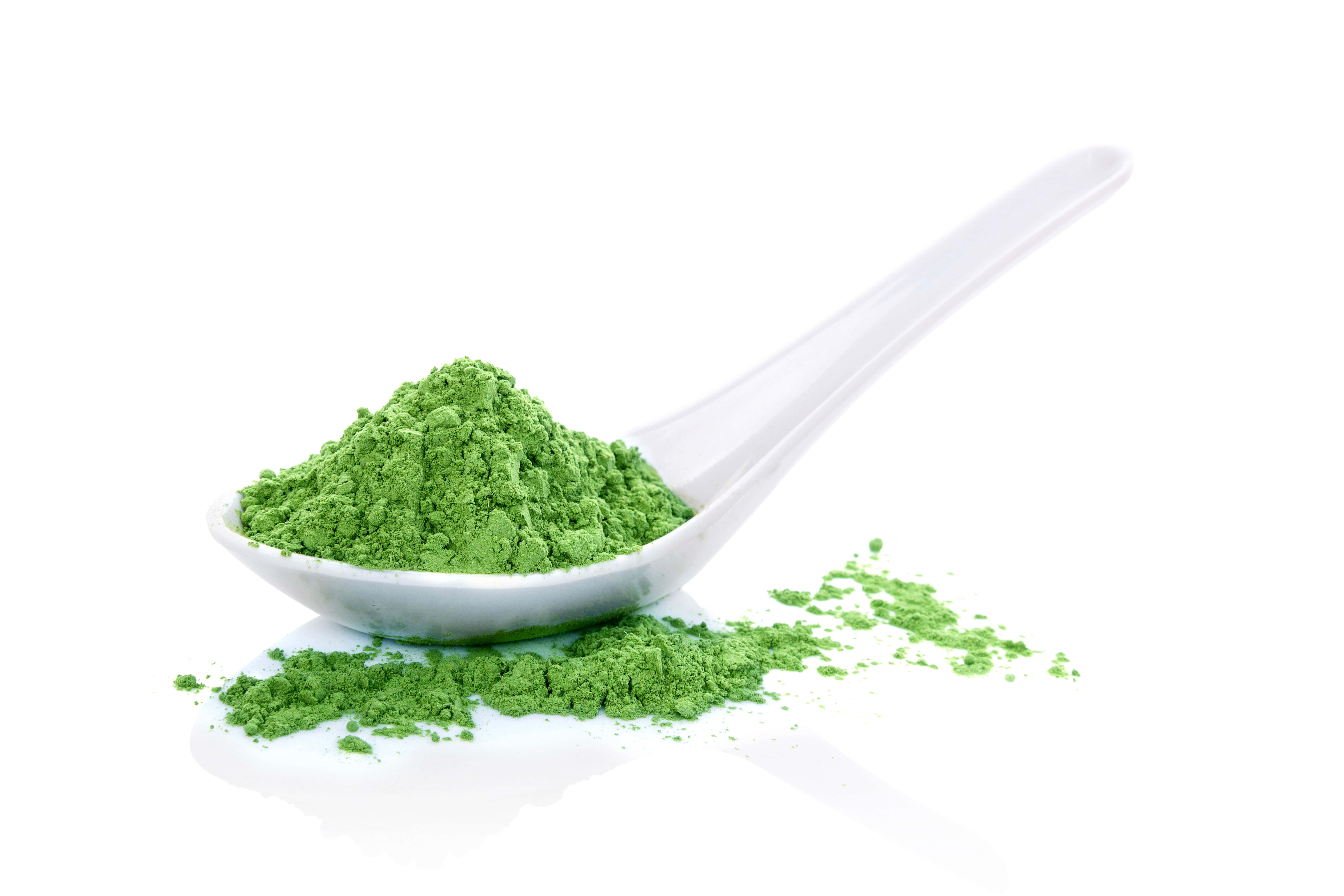Organic Wheatgrass Powder, 2 Pounds — Non-GMO, Raw, Vegan, Kosher — by Food to Live