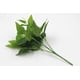 thumbnail image 4 of 5 piezas de tallos de hojas de eucalipto falsos Planta de hojas de eucalipto de dólar de plata artificial a granel en verde gris Verde de boda alto Vegetación artificial, 4 of 4