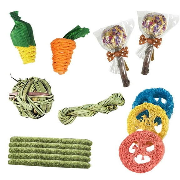 XROMTBEM Handmade Pet Chewing Toy 14pcs Chinchilla Rat Gerbil Natural Molar Toys Rabbits Chews and Treats Pets Teeth Cleaning Toy