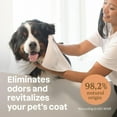 thumbnail image 4 of ATTITUDE Furry Friends, Shampoo, Itch Soothing, Lavender, Pet care, Dog Shampoo, 473 mL, 4 of 6