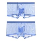 TANBOM Men's Nylon Mesh See-Through Breathable Boxer Briefs Underwear Blue, 1-Pack, L